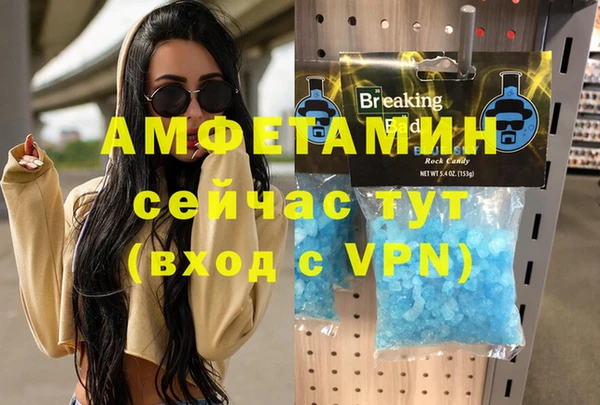 амф Дмитров