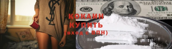 амф Дмитров