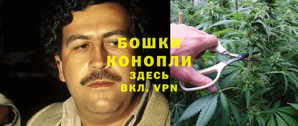 метадон Дмитриев