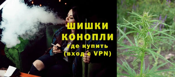 амф Дмитров
