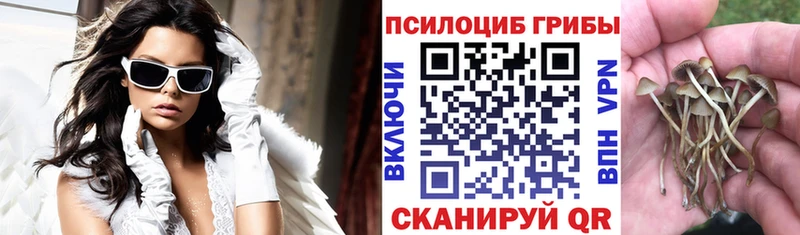 где продают   Мытищи  OMG рабочий сайт  Галлюциногенные грибы Psilocybe 